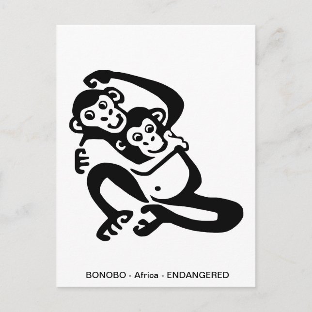 Cute BONOBO-Chimpanzee - Primat - Ape - Vykort (Framsida)