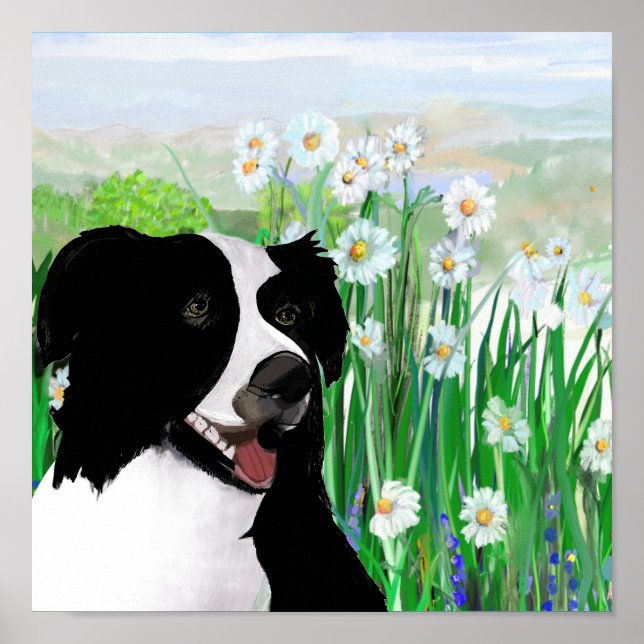 Cute, Border Collie Daisies Wall Art Poster (Framsidan)
