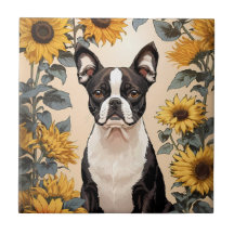 Cute Boston Terrier Gult Sunblommor