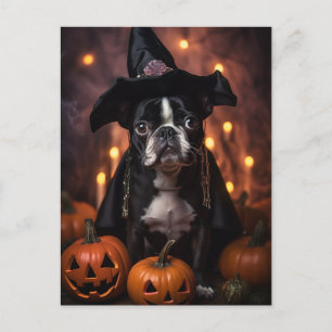 Cute Boston Terrier Halloween Vykort