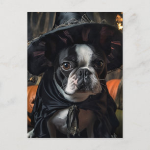 Cute Boston Terrier Halloween Witch Vykort