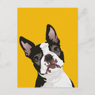 Cute Boston Terrier Hund för Boston Terrier Owner Vykort