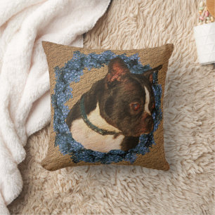 Cute Boston Terrier Hund Kudde