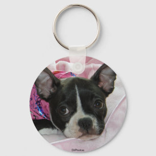 Cute Boston Terrier Puppy Nyckelring