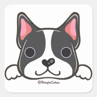 Cute Boston Terrier Sticker Fyrkantigt Klistermärke