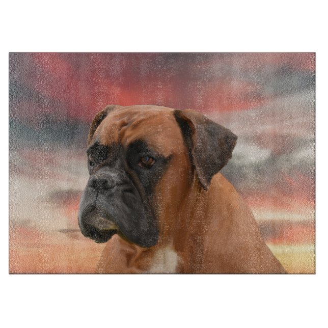 Cute Boxer Hund Färg Oljemålning Art. (Framsidan)