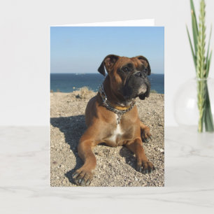 Cute Boxer-Hund-gratulationskort Kort
