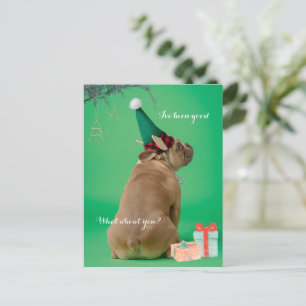 Cute Boxer-Hund jul Jag har varit Bra vykort