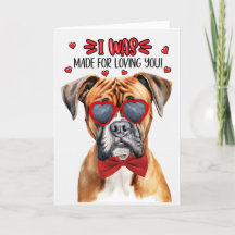 Cute Boxer-Hund som älskar dig Alla hjärtans dag