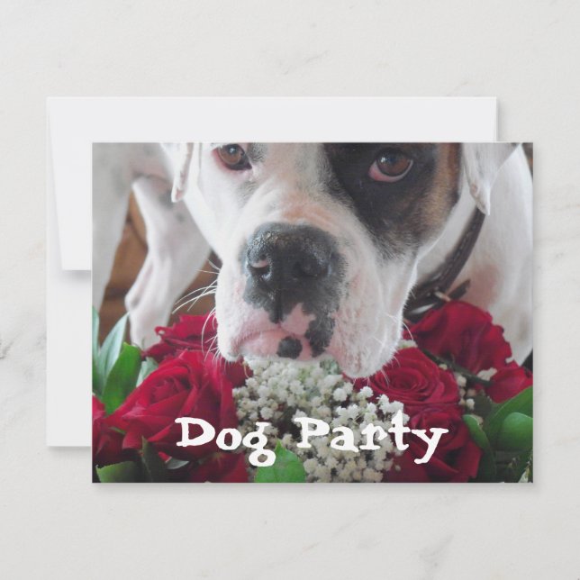 Cute Boxer (Pet Party bjudan) med Rosor Bouquet Inbjudningar (Framsida)