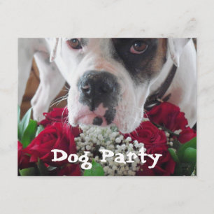 Cute Boxer (Pet Party bjudan) med Rosor Bouquet Inbjudningar