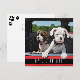 Cute Boxer Puppy Grattis på födelsedagen Hundar Meddelande