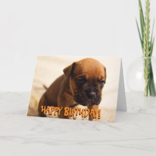 Cute boxer-uppfyllnadskort kort