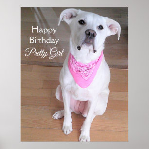 Cute Bright Ögon White-Hund, Rosa födelsedag Poster