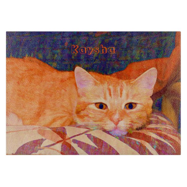 Cute Bright Orange Tabby katt (Framsidan)