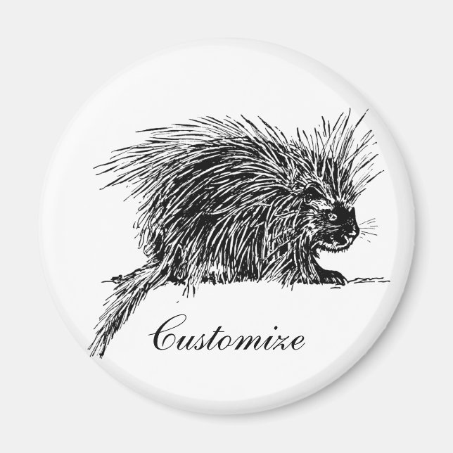 Cute Brithy Hedgehog Thunder_Cove Magnet (Framsidan)
