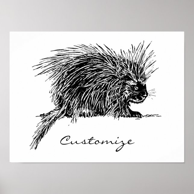 Cute Brithy Hedgehog Thunder_Cove Poster (Framsidan)