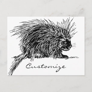 Cute Brithy Hedgehog Thunder_Cove Vykort