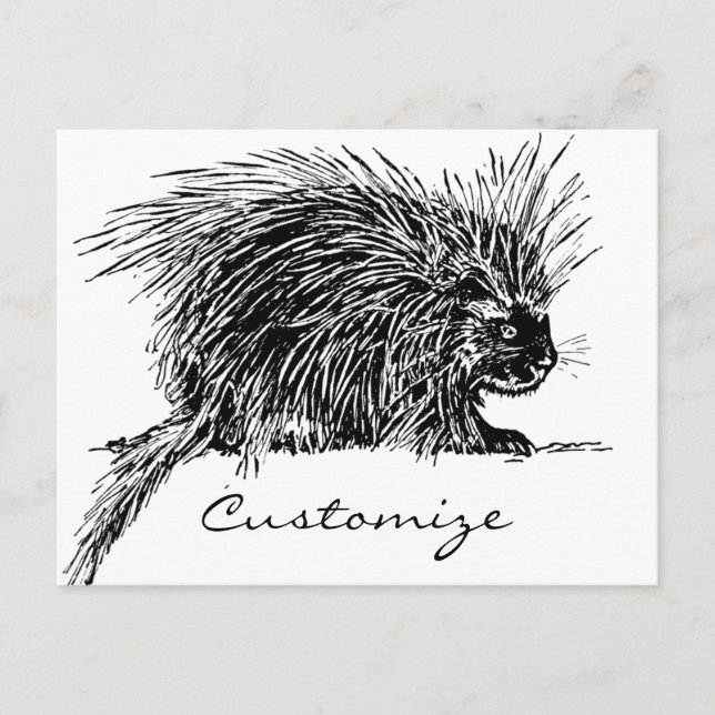 Cute Brithy Hedgehog Thunder_Cove Vykort (Framsida)