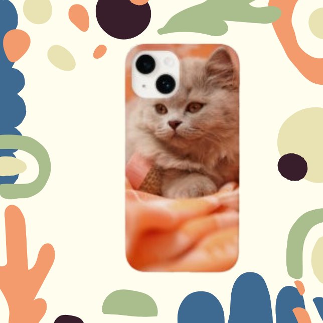 Cute British Shorthair Cat (Skapare uppladdad)