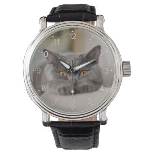 Cute British Shorthair cat Armbandsur