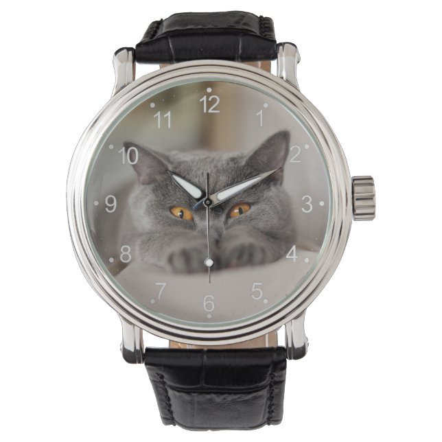 Cute British Shorthair cat Armbandsur (Framsida)