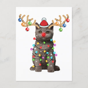 Cute British Shorthair Cat Funny jul-Helgdag Vykort