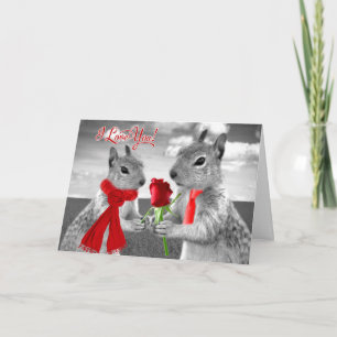 Cute Bröllop-årsdagen Woodland Squirrel Kärlek Kort