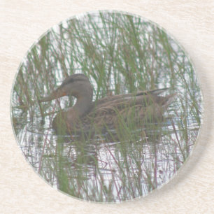 Cute Brown Anka Nature Drink Underlägg