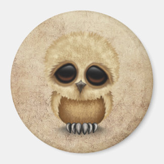 Cute Brown Baby Uggla Chic om Åldras Struktur Magnet