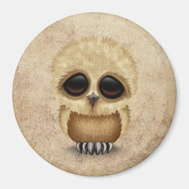 Cute Brown Baby Uggla Chic om Åldras Struktur Magnet (Framsidan)