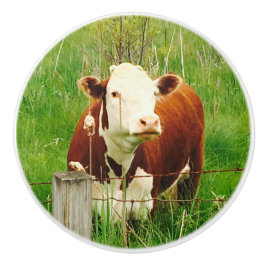 Cute Brown Cow 4Jojo Knopp