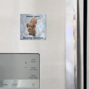 Cute Brown Dachshund Barking Maskin Magnet