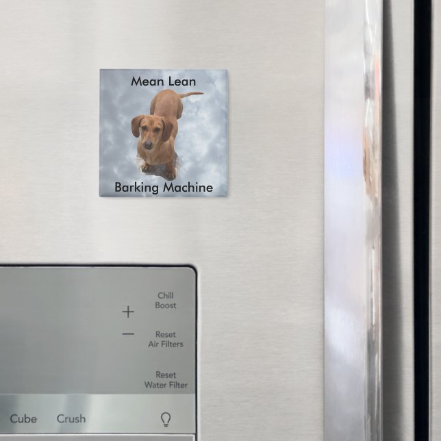 Cute Brown Dachshund Barking Maskin Magnet (In Situ (Fridge))