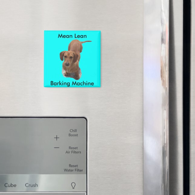 Cute Brown Dachshund Barking Maskin Magnet (In Situ (Fridge))