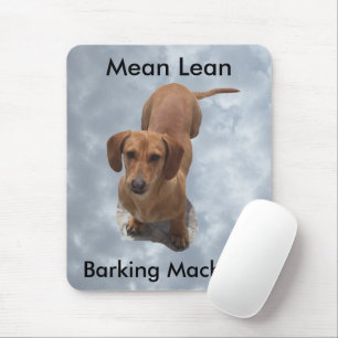 Cute Brown Dachshund Barking Maskin Musmatta