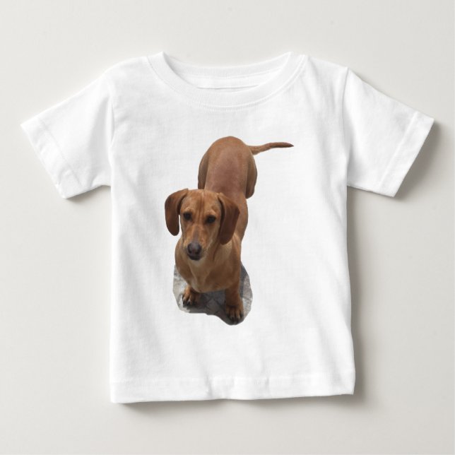 Cute Brown Dachshund Hund T Shirt (Framsida)