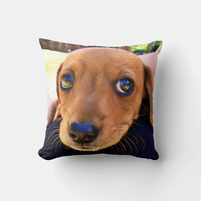 Cute Brown Dachshund Puppy Hund Kudde (Framsida)