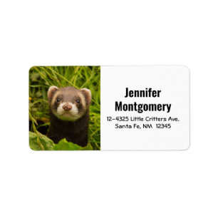 Cute Brown Ferret i Grass Adressetikett