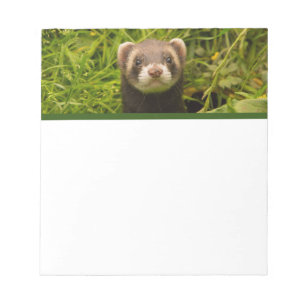 Cute Brown Ferret i Grass Anteckningsblock