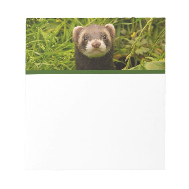 Cute Brown Ferret i Grass Anteckningsblock (Framsida)
