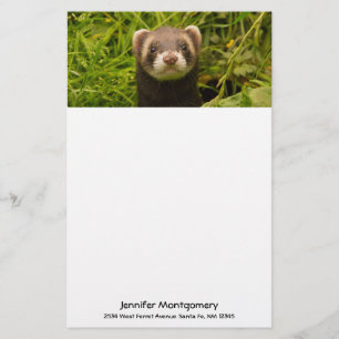 Cute Brown Ferret i Grass Brevpapper