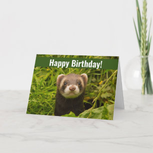Cute Brown Ferret i Grass Grattis på födelsedagen Kort