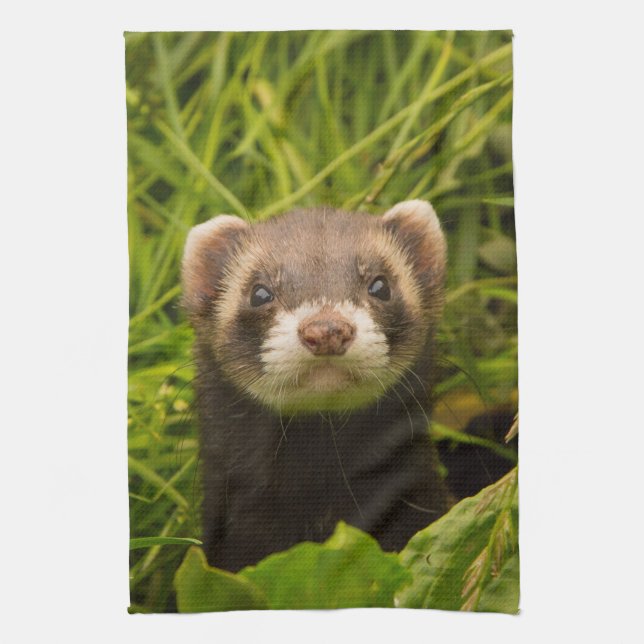 Cute Brown Ferret i Grass Kökshandduk (Vertikal)