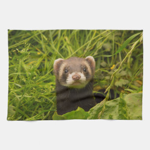 Cute Brown Ferret i Grass Kökshandduk
