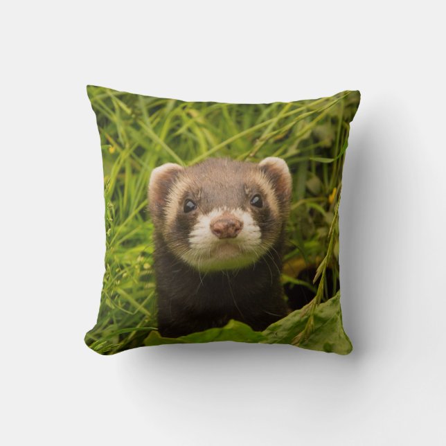 Cute Brown Ferret i Grass Kudde (Framsida)