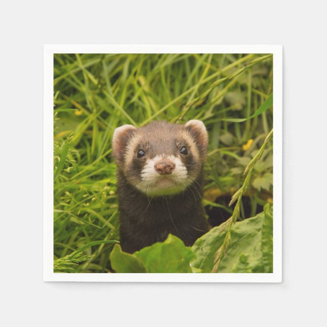 Cute Brown Ferret i Grass Pappersservett (Framsidan)
