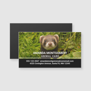 Cute Brown Ferret i Grass Photo