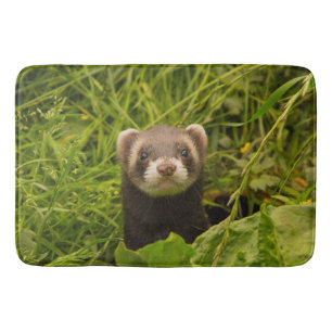 Cute Brown Ferret i Grass Photo Badrumsmatta