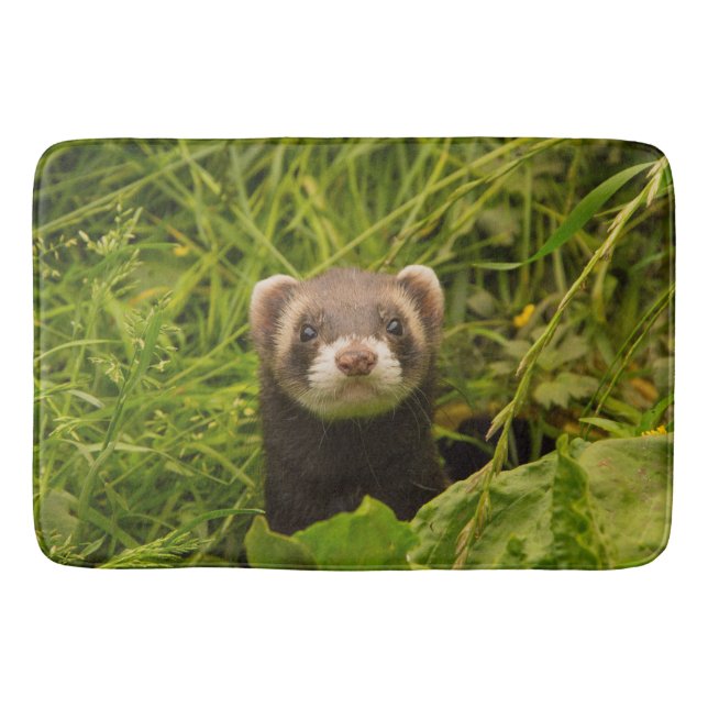 Cute Brown Ferret i Grass Photo Badrumsmatta (Framsidan)